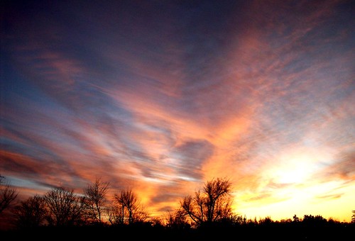 trees sunset sky sun tree clouds evening scenery springfieldmissouri theozarks nvpp rottladyhome