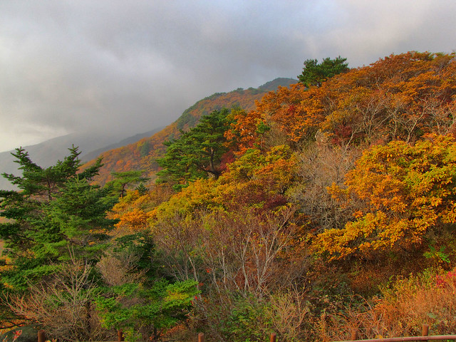 Autumn Colors-Jirisan National Park-South Korea