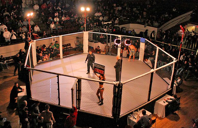 MMA   ring shot  -  Christopher D. LeClaire photo, 2009