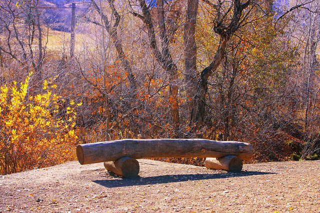 Resting spot, bench made out of logs