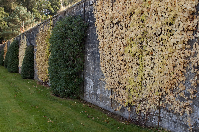 Walled garden pattern