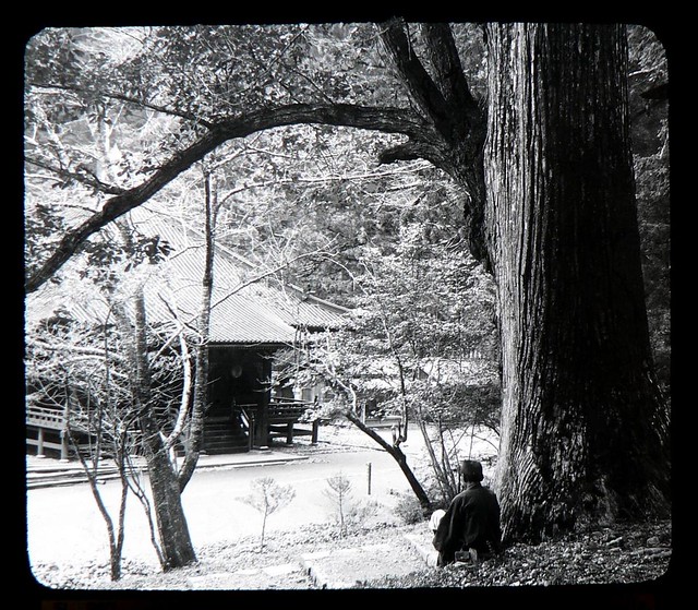 A MAN, A TREE, AND A TEMPLE