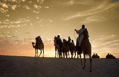 africa sunset festival atardecer desert au camel mali tombouctou timbuktu camello tuareg dromedario
