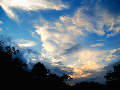 Golden Sky by de Paula FJ, A Fazenda do Lobo, localizada na Região Sudeste do Brasil, no Estado de Minas Gerais, é uma propried