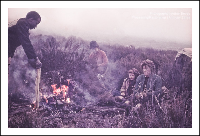 Camping Scene (Africa Circa 1960)