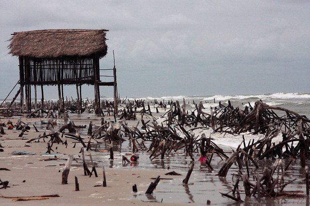 Praia do Crispin - Marudá, Pará/Brazil