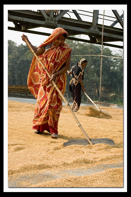 Bangladeshi Women worker