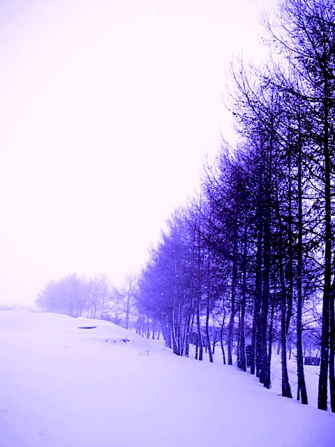 Winter snowstorm ~吹雪の小路