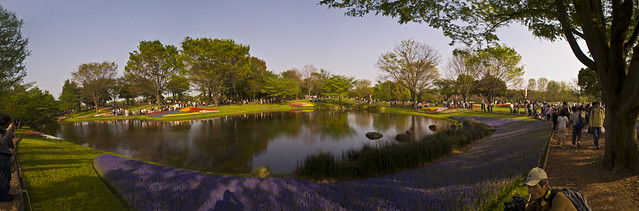 Spring Pond Panorama