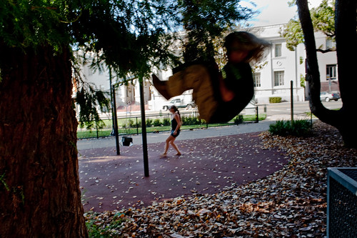 Fall by Jack Simon