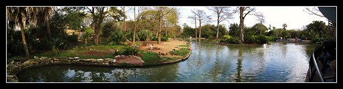 lake zoo duck houston panoramic photostitch houstonzoo photographyday 02212009