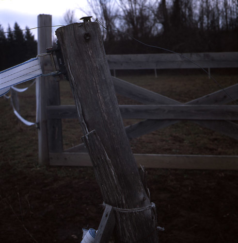 Medium_Format_025 | by Christopher Pecoraro
