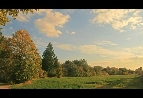blue autumn trees sky sun green fall nature field clouds canon landscape eos europe sunny pd slovensko slovakia paragliding palo parachute bartos bojnice jeseň prievidza 400d bartoš