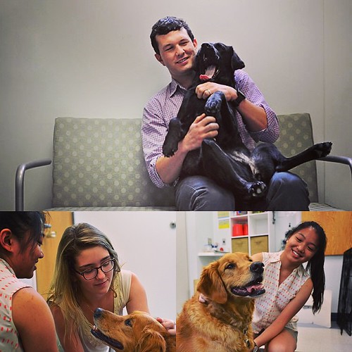 Today is “Take Your Dog to Work Day,” but you probably won’t see faculty or staff with their furry friends in campus offices June 26. Unless, of course, it’s at Duke’s Canine Cognition Center! http://ow.ly/ODplE @dognition