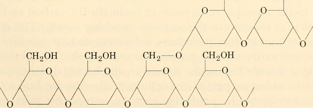 Image from page 84 of "Biochemistry of plants and animals,… | Flickrhttps://www.google.com/url?sa=i&url=https%3A%2F%2Fwww.flickr.com%2Fphotos%2Finternetarchivebookimages%2F19750294293&psig=AOvVaw2lIj9dr2WqCsomDjpf_mEh&ust=1698283037969000&source=images&cd=vfe&opi=89978449&ved=2ahUKEwjL2PW6g5CCAxWJMFkFHZ2tBRMQr4kDegQIARB4