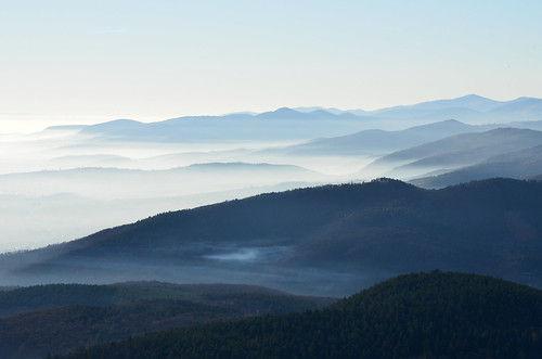 brume fog alsace frontière border vue view d7000 nature hautrhin chateaudehautkoenigsbourg hautkœnigsbourgcastle paysage landscape