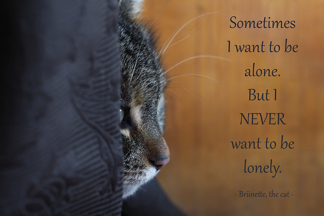 Sometimes I want to be alone