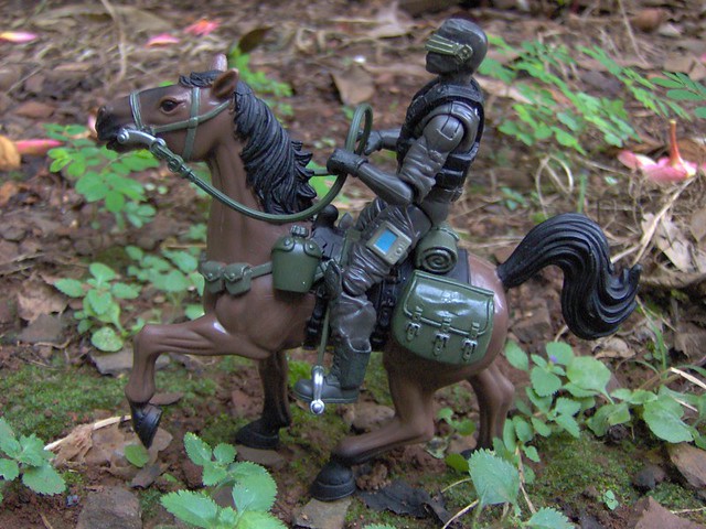 Knight Rider Animals Knight Rider | Snake Eyes sometimes need a diferent way of t… | Flickr