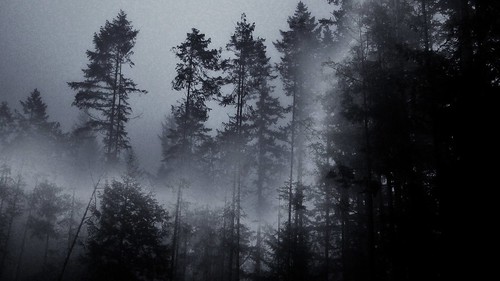 fog line | matt evans | Flickr