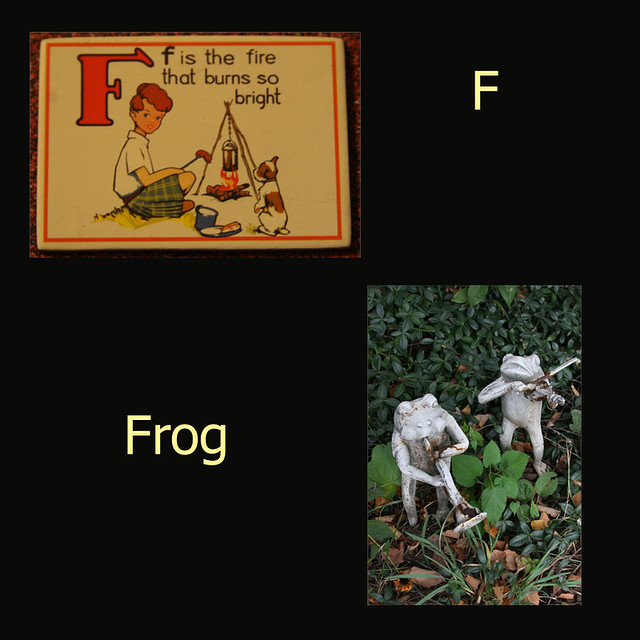 Frog and F
