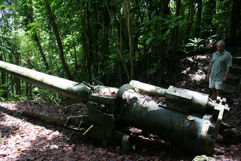 In this recent photo, a man stands next to one of three WWII coastal defense guns set up by the Japanese in the Piti hillside, but never used.

Nathalie Pereda/Guampedia
