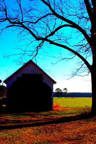 blue trees orange smile barn doors blackwater virginiabeach pungo angelospeach itsangelo aspeach whoisangeloanyway victorangelospeach photosbyangelo hesyourfriend