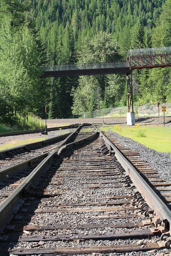 Rail line behind the Issac Walton Lodge, glaciernationalpark