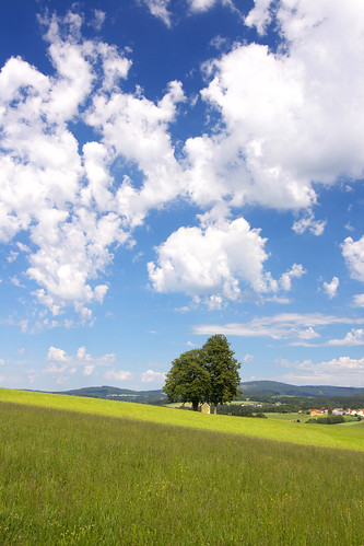 blue sky tree field cloudy wiese himmel baum münzkirchen munzkirchen