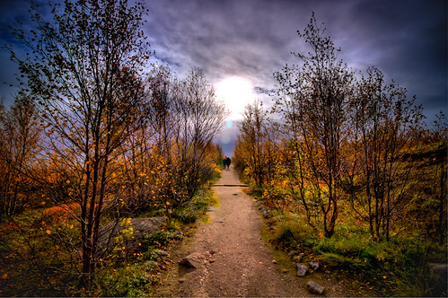 Autumn Pathway | by euno