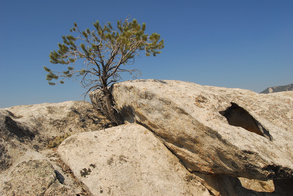 Tree Rock | Another shot of City of Rocks. That hole in the … | Flickr