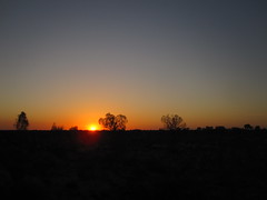 Uluru and around 39 - Sunrise