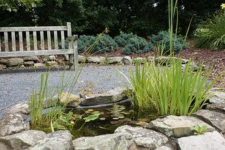 Lilypons Water Gardens 12 Karl Gercens Flickr