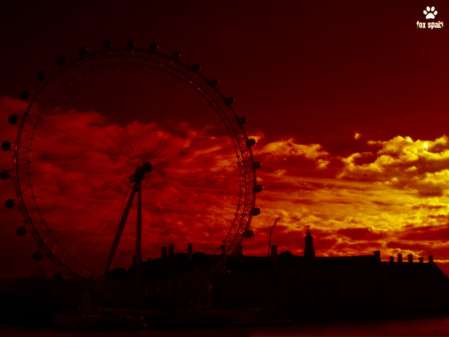 El Ojo de Londres / The London Eye