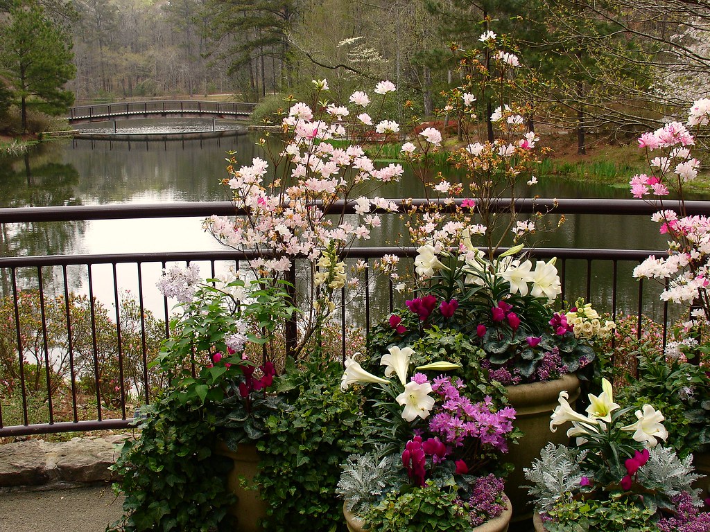 Spring Container Gardens Callaway Gardens Ga Karl Gercens Flickr