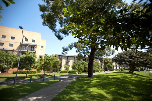 Barker St apartments and Shalom College
