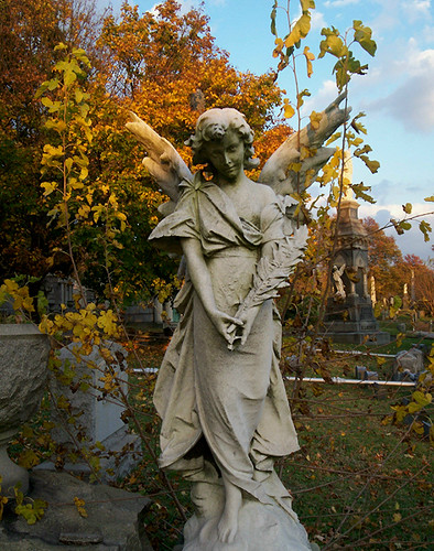 Knowing Angel | by Viridia
