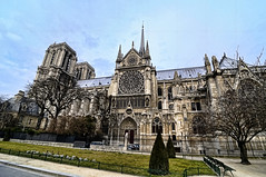 Ratatouille - Notre Dame