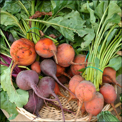 Multicolor beets can be grown in tiny gardens.