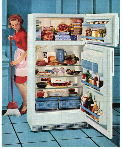 No-Frost Refrigerator | by Shelf Life Taste Test