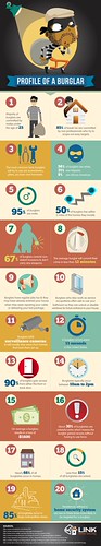 Profile Of A Burglar | by Infobrandz