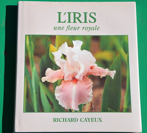 L'Iris, une fleur royale 32638997211_85e4e05172