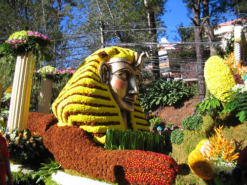 Flower Float | by heart614