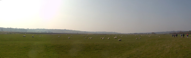 Sheepscape Rye Circular