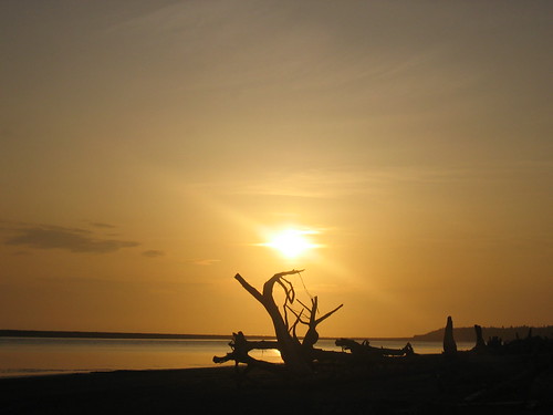 yakutat 2009 by Alaska Cooks, Estuary sunsetalaska flyfishing 2009 steelhead yakutat
