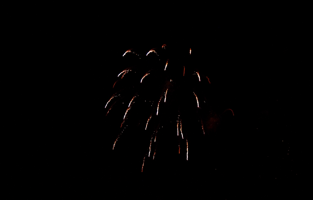 Fireworks - #3203