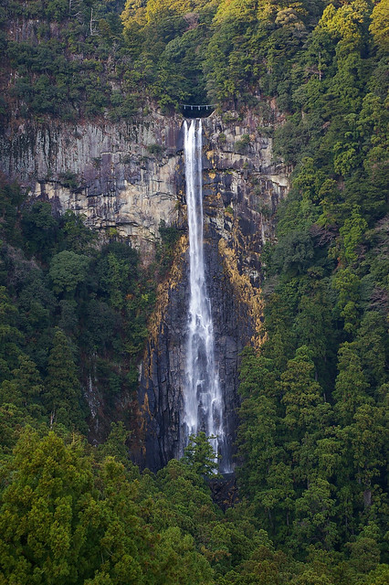 那智の滝(Nachi Falls) | 那智滝は、和歌山県東牟婁郡那智勝浦町の那智