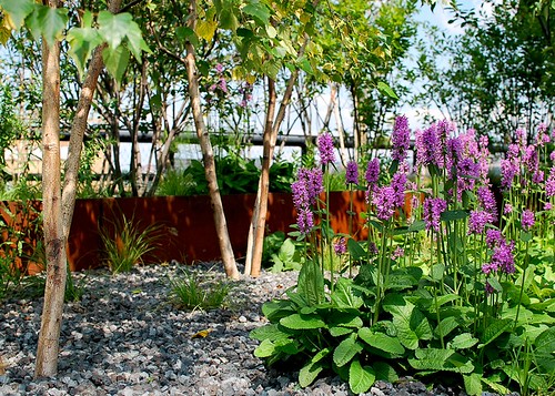 High Line Park : NYC | by Cindy {K}