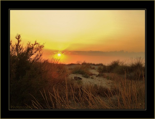 Les dunes et le soleil couchant... by Joélisa