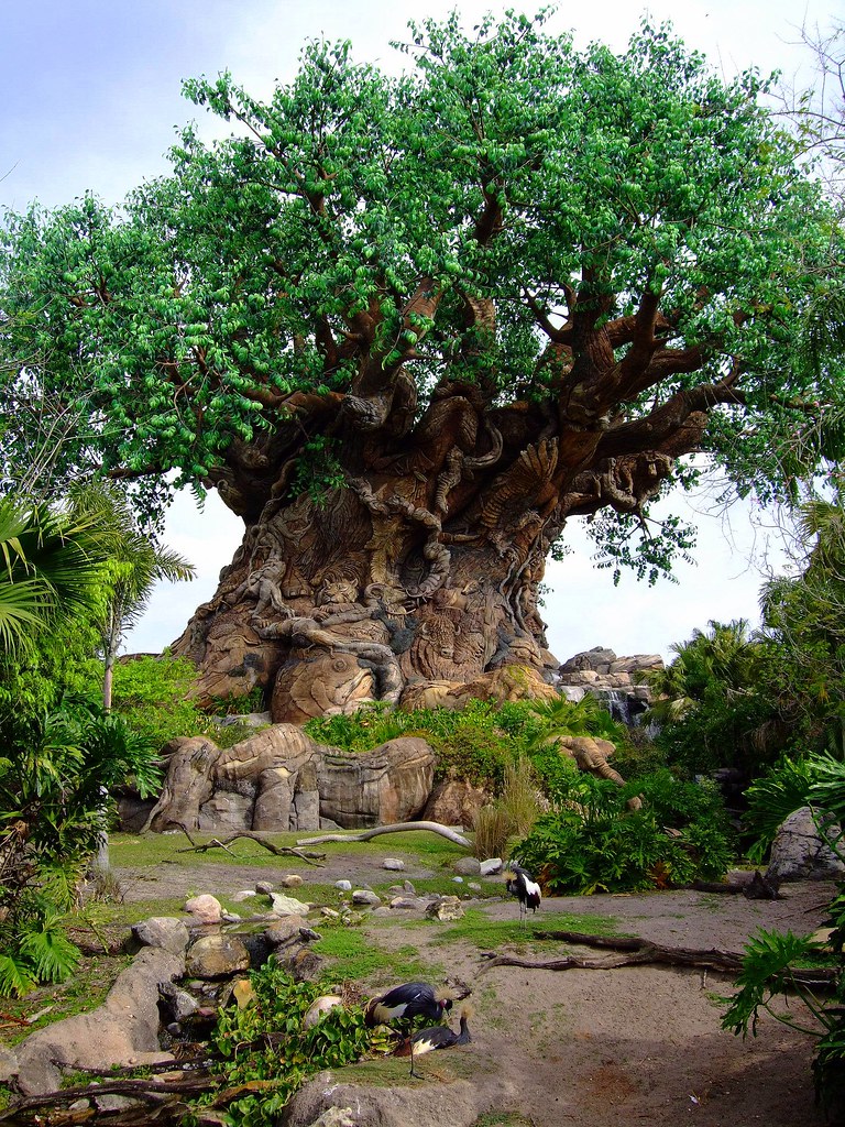 Disney World Animal Kingdom Tree of Life | The Tree of Life … | Flickr