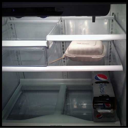 the new fridge | by hello zannah